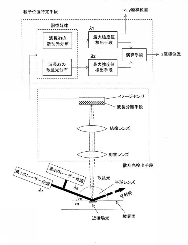 6607607-微粒子の３Ｄ位置特定装置及び特定方法 図000014