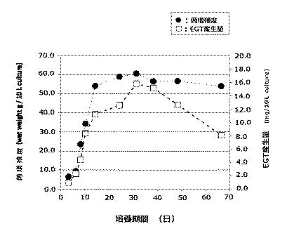 6616328-エルゴチオネインの産生方法 図000014