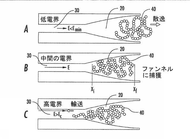 6633682-流体ナノファンネルを有する装置、関連する方法、製造及び解析システム 図000014