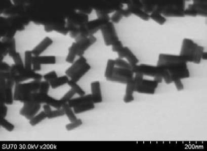 6716632-パラジウム被覆異方性金ナノ粒子を含む被験物質を検出するための組成物及びその用途 図000014