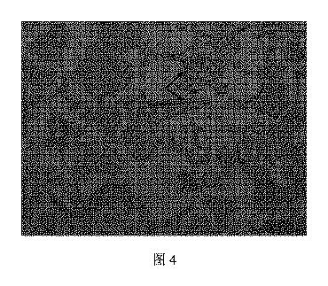 6783871-向上された弾性率を有する軽量鋼、鋼板およびその製造方法 図000014