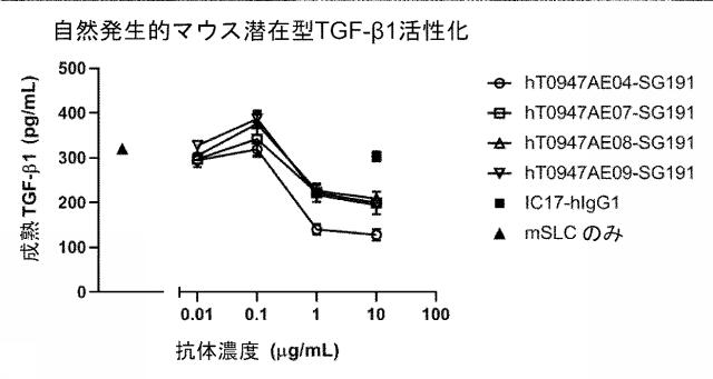 6846564-種交差性抗潜在型ＴＧＦ−β１抗体および使用方法 図000014