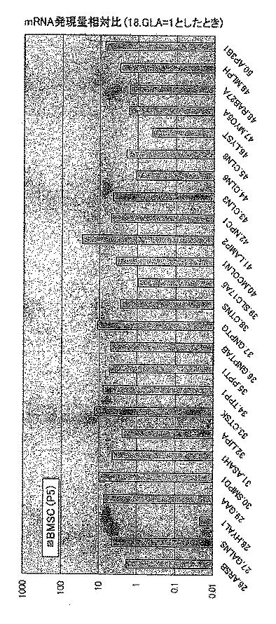 6903295-ライソゾーム病処置剤 図000014