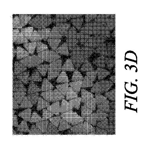 6927979-高速紡糸用途のための二重末端ポリアミド 図000014