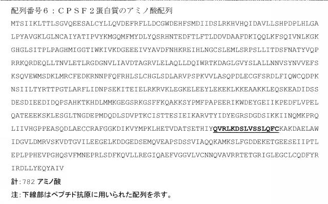 6942036-脳梗塞の発症リスクを高感度に検出する体液抗体バイオマーカー 図000014