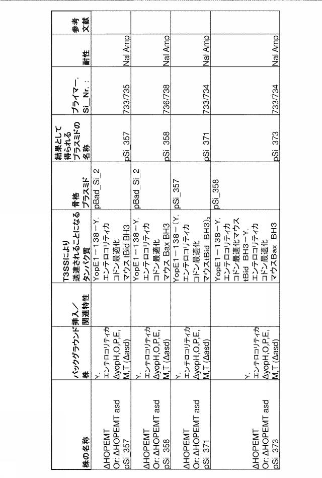 6976351-弱毒化細菌に基づくタンパク質送達 図000014