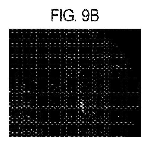 6983069-成長因子をコードする外因性ポリヌクレオチドを含む安定な神経幹細胞およびその使用の方法 図000014
