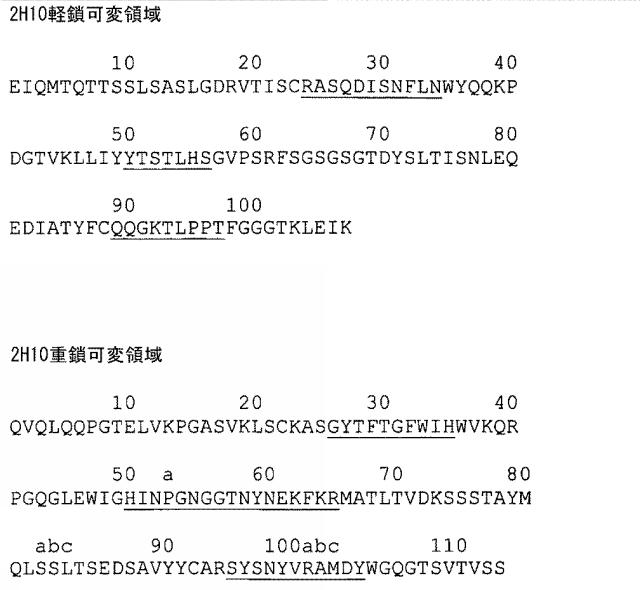 5662912-ＶＥＧＦ−Ｂアンタゴニストを含む癌治療方法 図000015