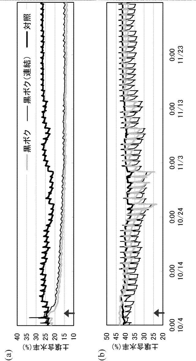 5668249-栽培容器、及び高糖度のトマトの栽培方法 図000015