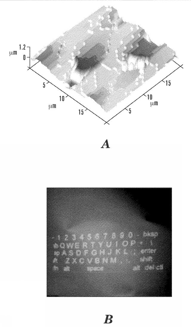 5717653-生物医学的用途およびバイオフォトニック用途のための絹フィブロイン構造体のナノインプリンティングの方法 図000015