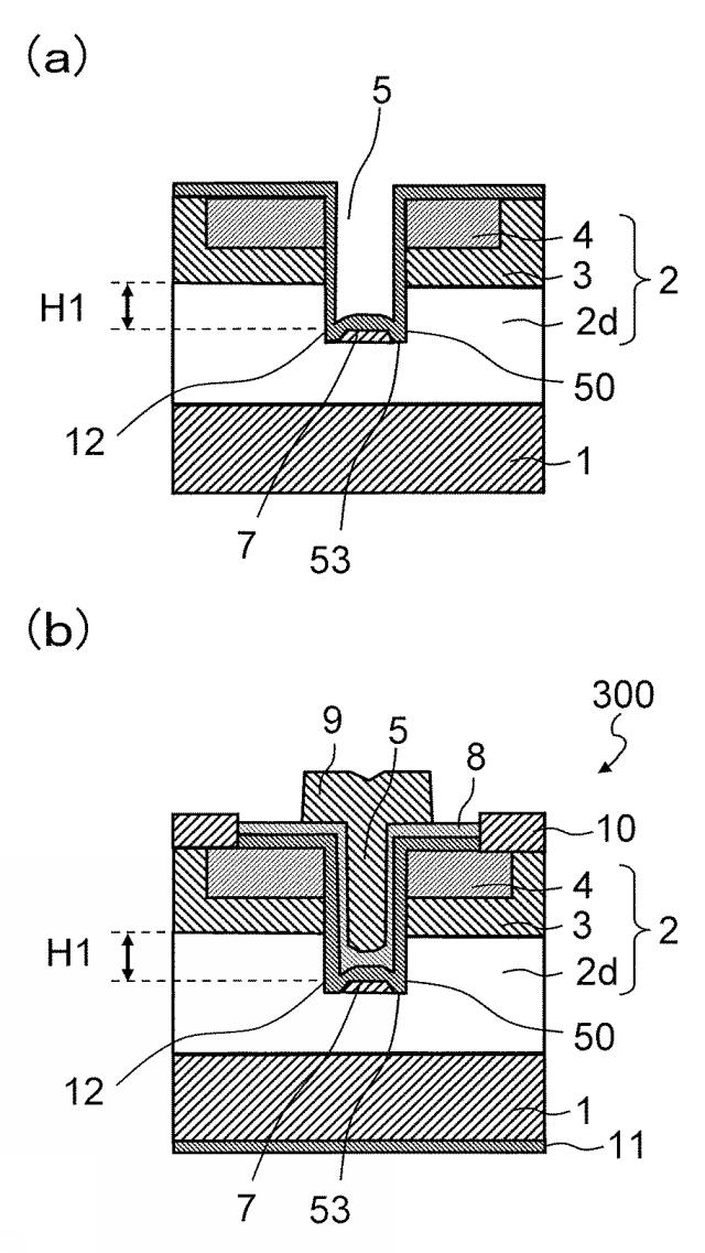 5834179-炭化珪素半導体装置の製造方法 図000015
