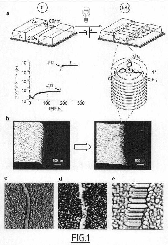 5855669-トリアリールアミンの超分子集合体による電気伝導 図000015