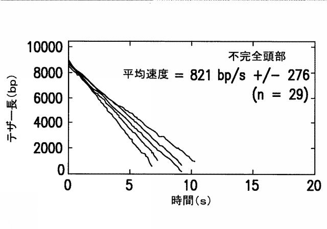 5863766-タンパク質および核酸送達媒体、その成分および機構 図000015