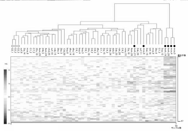 5874876-化学物質の生体に対する影響の評価方法 図000015