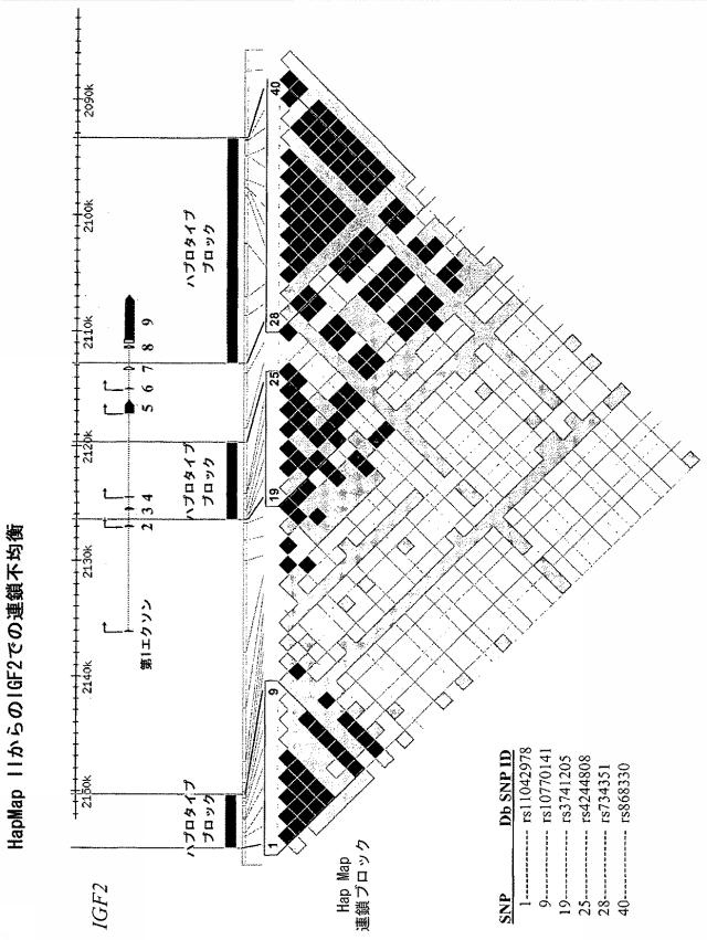 5902843-ＩＧＦ２遺伝子の対立遺伝子特異的な発現を判定するための一塩基多型ならびに新規および公知の多型の組み合わせ 図000015