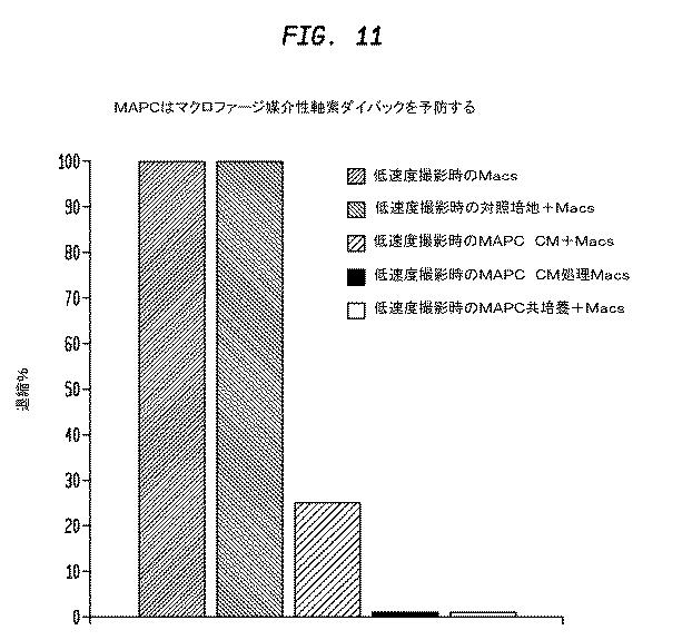 5933623-ニューロンの軸索退縮を予防するための幹細胞の使用 図000015