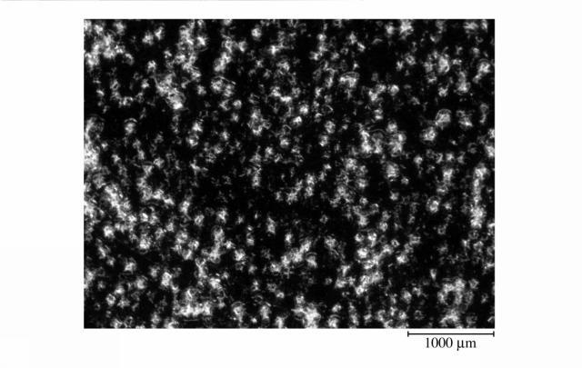 5986332-微多孔プラスチックフィルム 図000015