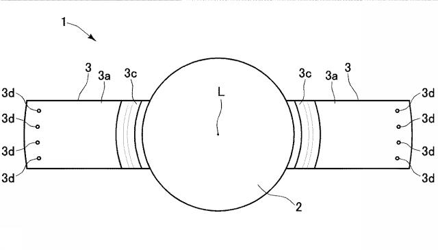 6023378-眼内レンズ及び眼内レンズのハプティック 図000015