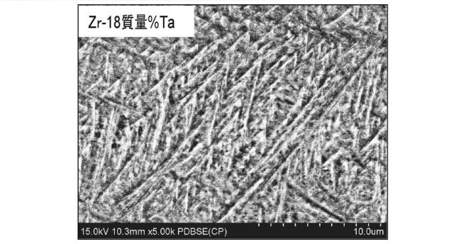 6041045-生体用ジルコニウム合金およびそれを用いた骨固定具 図000015
