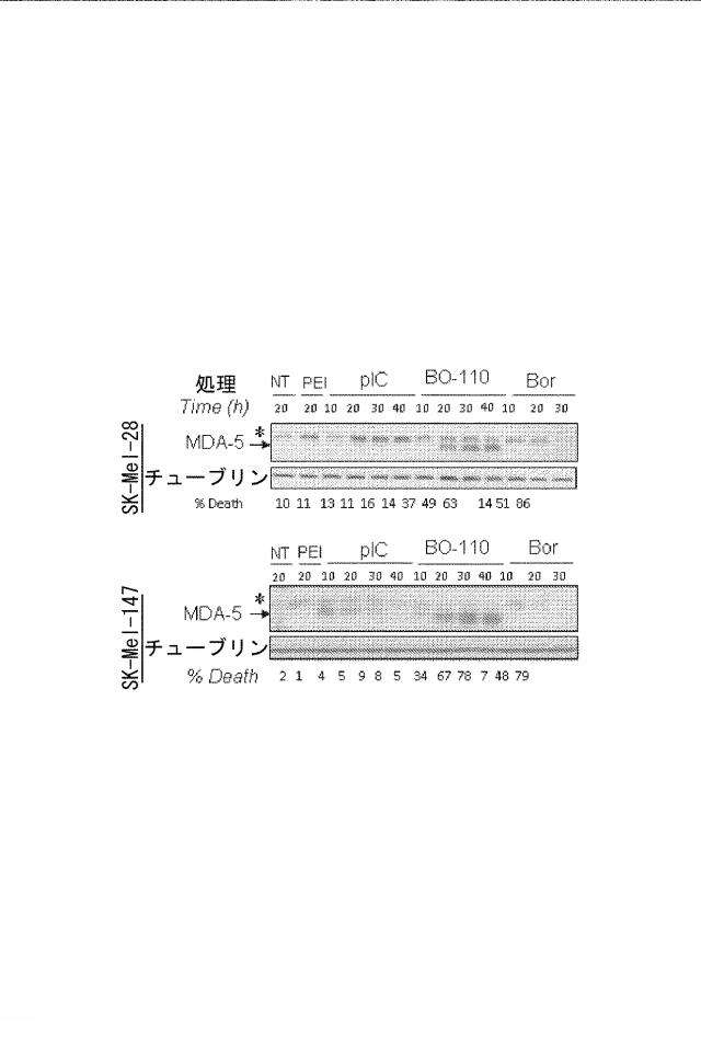 6222749-医薬組成物及びその使用 図000015