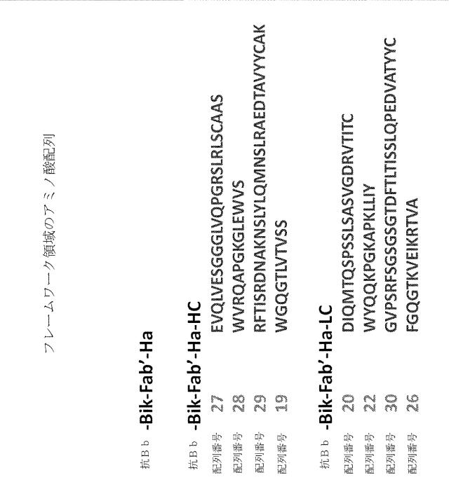 6244350-ヒト化およびキメラ抗因子Ｂｂ抗体、ならびにその使用 図000015