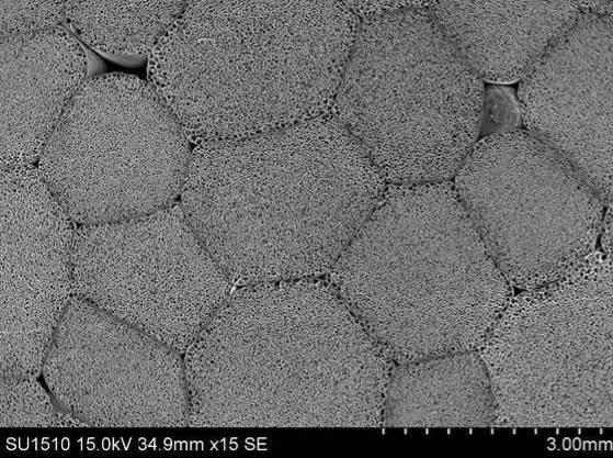 6253839-エステル系エラストマー発泡成形体、その用途及びエステル系エラストマー発泡粒子 図000015