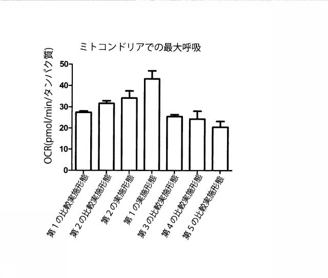 6329234-ミトコンドリアを改善する方法および幹細胞の細胞分裂を促進する方法 図000015