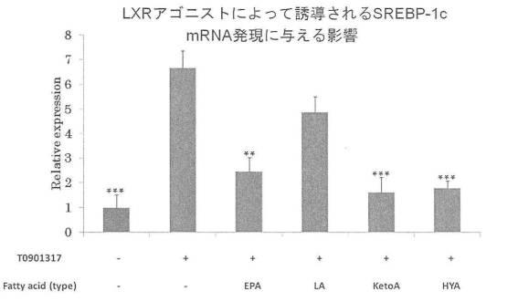 6340523-希少脂肪酸を含む代謝改善剤 図000015