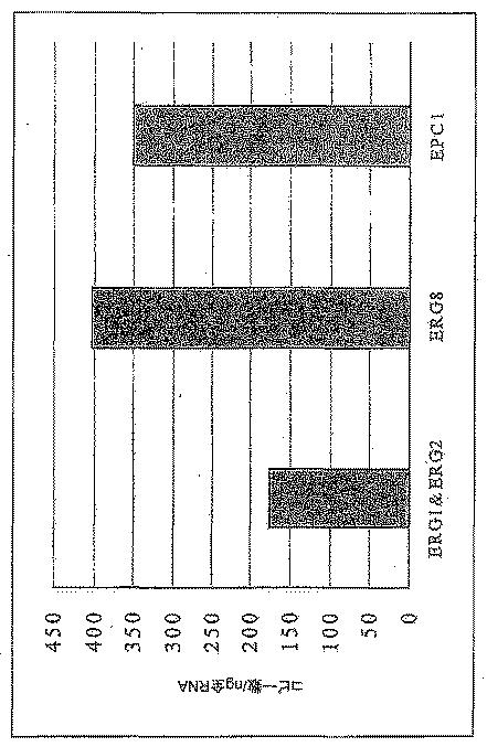 6383743-ＥＲＧ遺伝子発現における前立腺癌特異的変化ならびにそれらの変化に基づく検出および治療方法 図000015