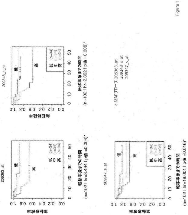 6386450-肺がん転移の診断、予後診断および処置のための方法 図000015