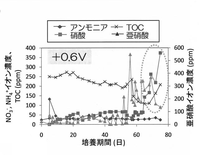 6396269-窒素代謝微生物の活性化方法 図000015