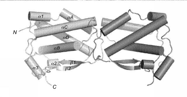 6416630-ＣＳＦ１Ｒ阻害剤を用いるための組成物及び方法 図000015