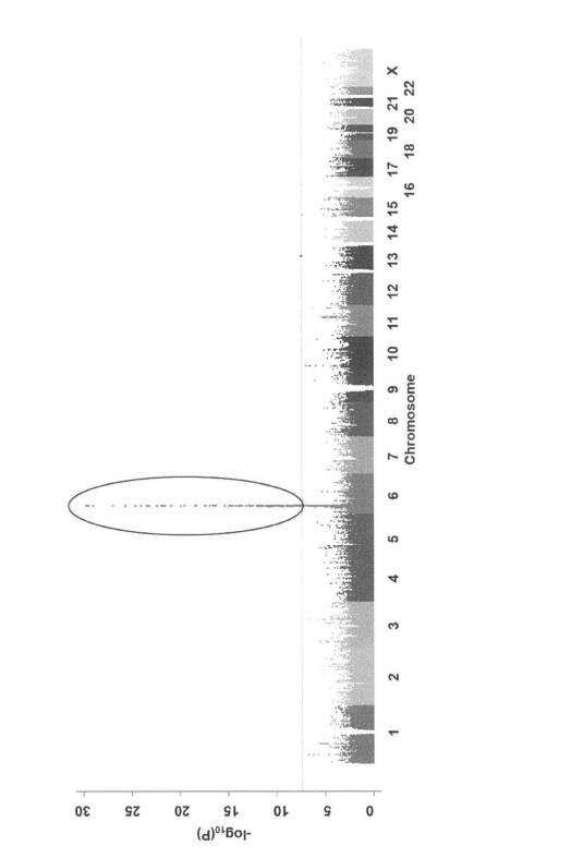 6516128-抗甲状腺薬誘発性無顆粒球症リスクを判定するための検査方法及び判定用キット 図000015