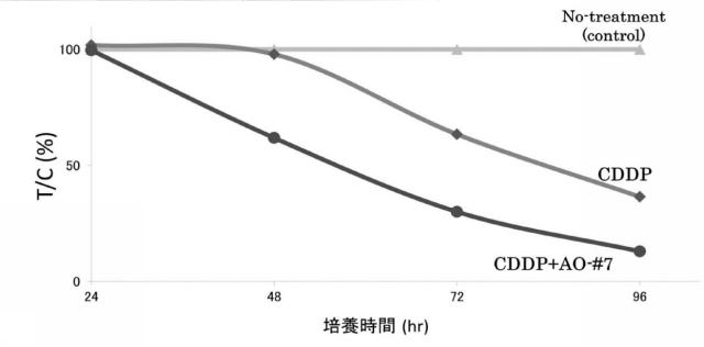 6536911-ＣＤ４４遺伝子のバリアントエクソンのスキッピングを誘導し、正常型ＣＤ４４ｍＲＮＡの発現を増加させる核酸医薬 図000015