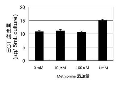 6616328-エルゴチオネインの産生方法 図000015