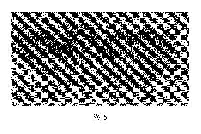 6783871-向上された弾性率を有する軽量鋼、鋼板およびその製造方法 図000015