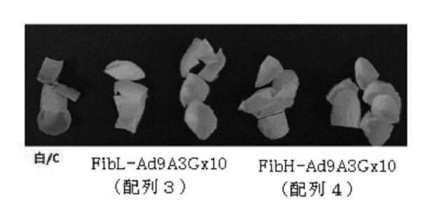6810470-融合タンパク質を含むシルク繊維及び該シルク繊維の製造方法 図000015