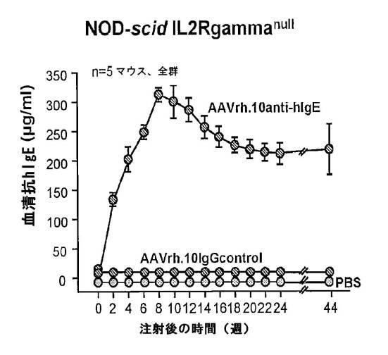 6878301-アレルゲンに対する反応を予防するための遺伝子治療 図000015