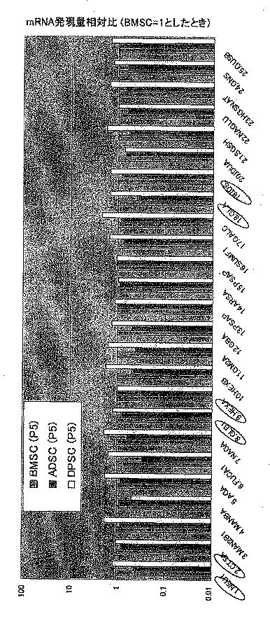 6903295-ライソゾーム病処置剤 図000015