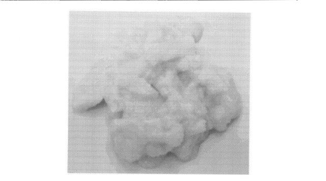 6930951-摂食可能品のための方法および組成物 図000015