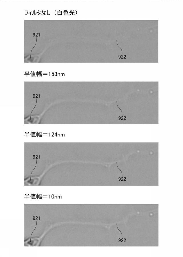 6975418-領域判定方法 図000015