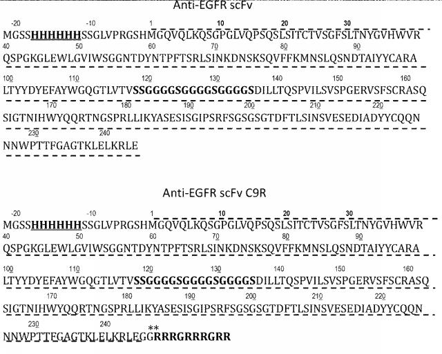 6986261-組換ポリペプチドの発現量及び収量の向上方法 図000015