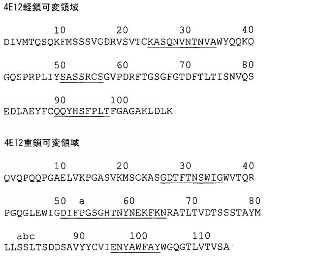 5662912-ＶＥＧＦ−Ｂアンタゴニストを含む癌治療方法 図000016