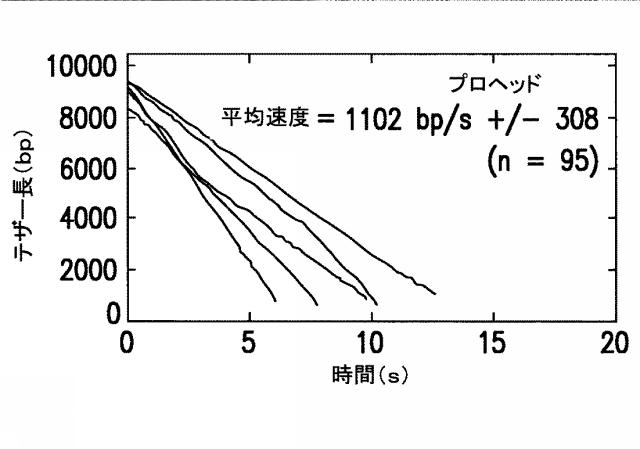 5863766-タンパク質および核酸送達媒体、その成分および機構 図000016