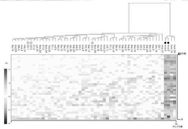 5874876-化学物質の生体に対する影響の評価方法 図000016