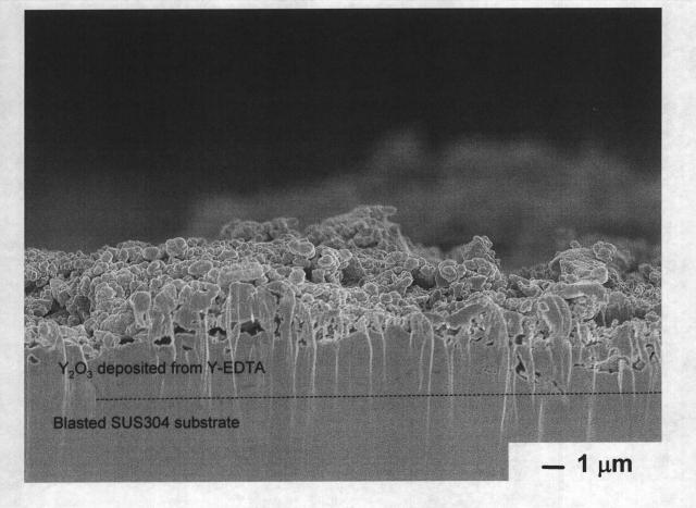 5894799-溶射材料および溶射皮膜の形成方法 図000016