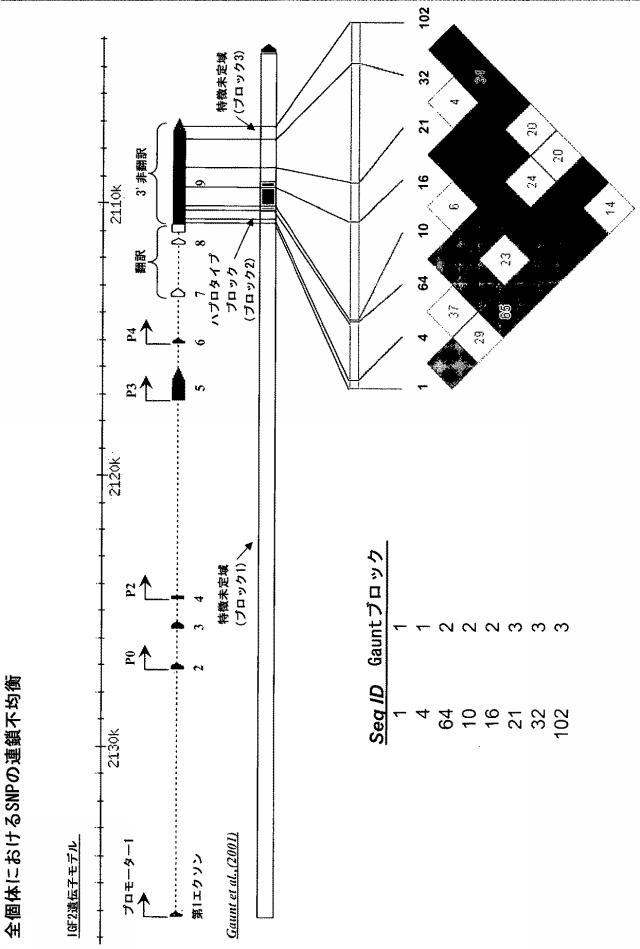 5902843-ＩＧＦ２遺伝子の対立遺伝子特異的な発現を判定するための一塩基多型ならびに新規および公知の多型の組み合わせ 図000016