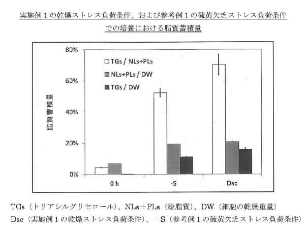 5943361-トリアシルグリセロールの製造方法 図000016