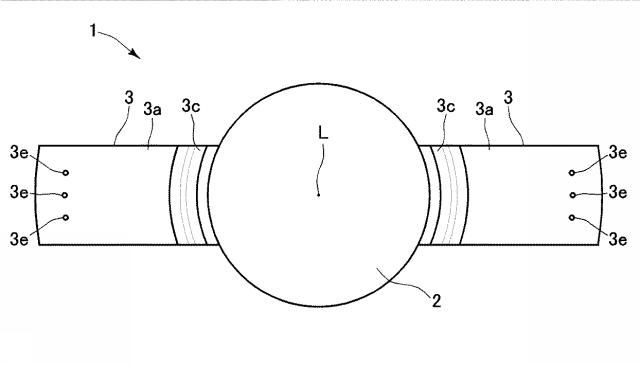 6023378-眼内レンズ及び眼内レンズのハプティック 図000016