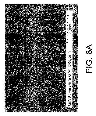 6039673-表面変性フルオロポリマーメンブレン及びその製造方法 図000016